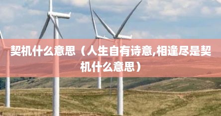 契机的意思（人生契机的意思是什么）