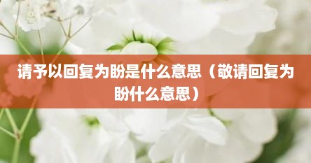 请予以回复为盼是什么意思（敬请回复为盼什么意思）