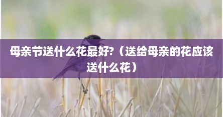 母亲节送什么花最好?（送给母亲的花应该送什么花）