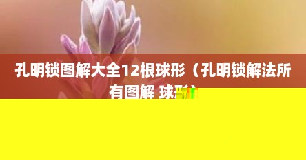 孔明锁图解大全12根球形（孔明锁解法所有图解 球形）