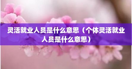 灵活就业人员是什么意思（个体灵活就业人员是什么意思）