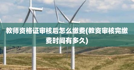 教师资格证审核后怎么缴费(教资审核完缴费时间有多久)