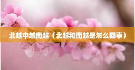 北越中越南越（北越和南越是怎么回事）