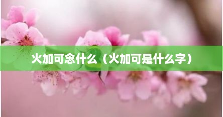 火加可念什么（火加可是什么字）