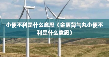 小便不利是什么意思（金匮肾气丸小便不利是什么意思）