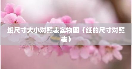 纸尺寸大小对照表实物图（纸的尺寸对照表）