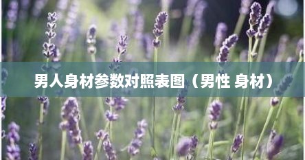 男人身材参数对照表图（男性 身材）