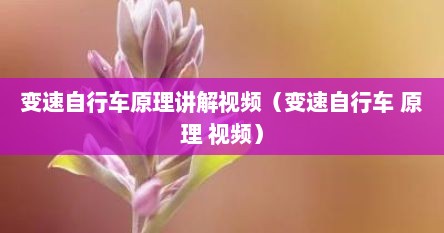 变速自行车原理讲解视频（变速自行车 原理 视频）