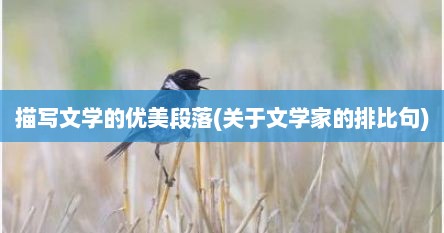 描写文学的优美段落(关于文学家的排比句)