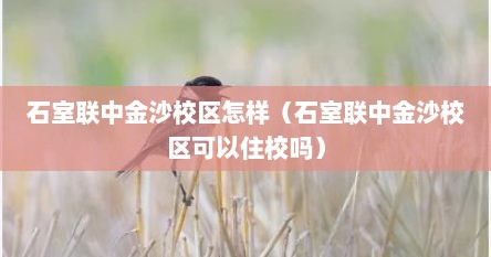 石室联中金沙校区怎样（石室联中金沙校区可以住校吗）