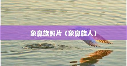 象鼻族的人（象鼻族人的生活方式）