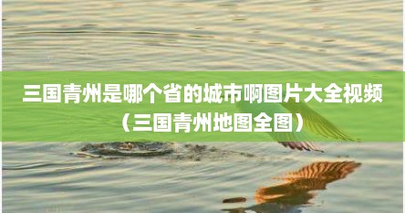 三国青州是哪个省的城市啊图片大全视频（三国青州地图全图）