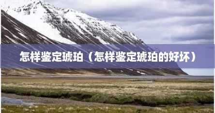 怎样鉴定琥珀（怎样鉴定琥珀的好坏）