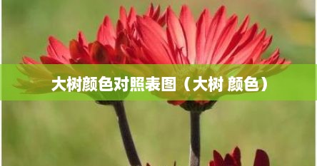 大树颜色对照表图（大树 颜色）