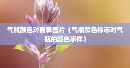 气瓶颜色对照表图片（气瓶颜色标志对气瓶的颜色字样）