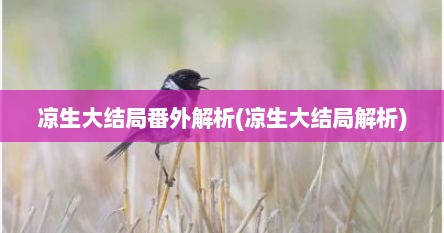 凉生大结局番外解析(凉生大结局解析)