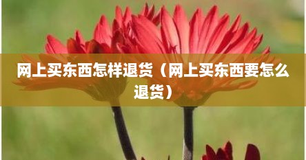 网上买东西怎样退货（网上买东西要怎么退货）