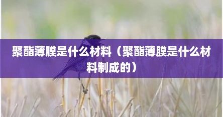 聚酯薄膜是什么材料（聚酯薄膜是什么材料制成的）