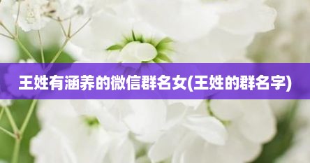 王姓有涵养的微信群名女(王姓的群名字)