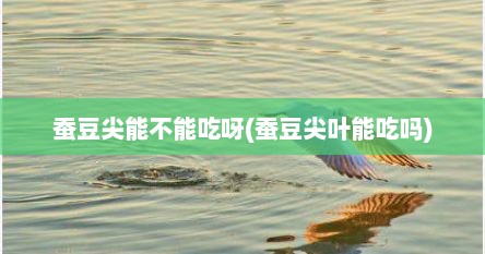 蚕豆尖能不能吃呀(蚕豆尖叶能吃吗)