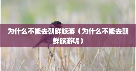 为什么不能去朝鲜旅游（为什么不能去朝鲜旅游呢）