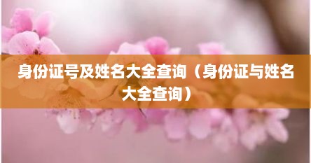 身份证号及姓名大全查询（身份证与姓名大全查询）