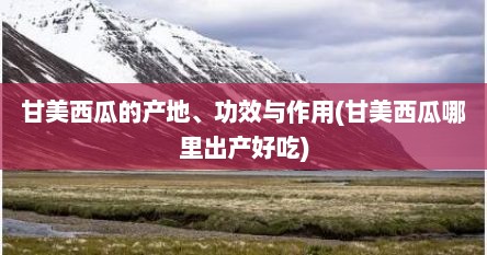 甘美西瓜的产地、功效与作用(甘美西瓜哪里出产好吃)