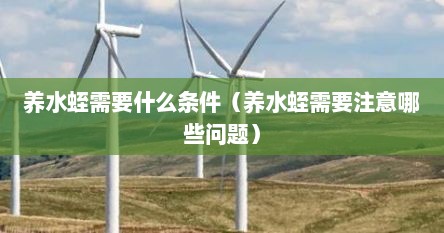 养水蛭需要什么条件（养水蛭需要注意哪些问题）