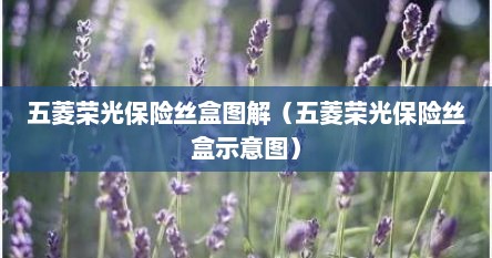 五菱荣光保险丝盒图解(五菱荣光保险丝盒示意图) 五菱荣光保险丝盒图解(五菱荣光保险丝盒示意图)