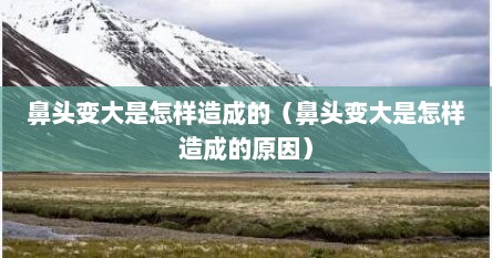 鼻头变大是怎样造成的（鼻头变大是怎样造成的原因）