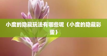 小度的隐藏玩法有哪些呢（小度的隐藏彩蛋）