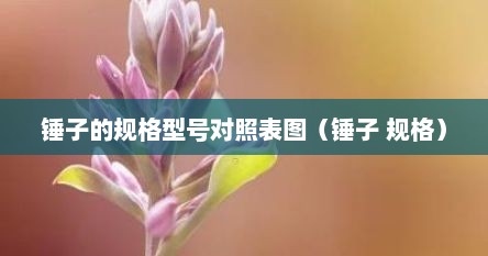 锤子的规格型号对照表图（锤子 规格）