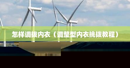 怎样调拨内衣（调整型内衣挑拨教程）