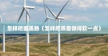 怎样把面蒸熟（怎样把蒸面做得软一点）