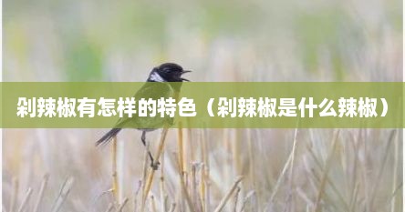 剁辣椒有怎样的特色（剁辣椒是什么辣椒）