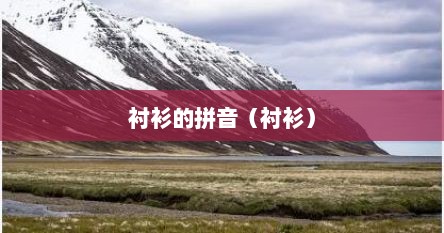 衬衫的拼音（衬衫）