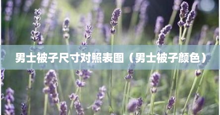 男士被子尺寸对照表图（男士被子颜色）