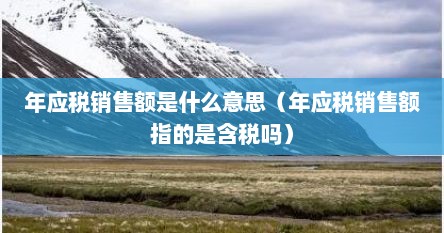 年应税销售额是什么意思（年应税销售额指的是含税吗）