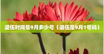 退伍时间是9月多少号(退伍是9月1号吗)