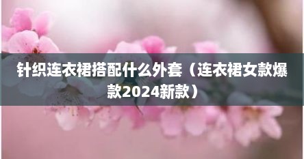 针织连衣裙搭配什么外套（连衣裙女款爆款2024新款）