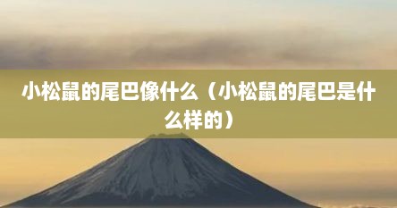 小松鼠的尾巴像什么（小松鼠的尾巴是什么样的）