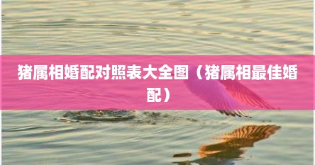 猪属相婚配对照表大全图（猪属相最佳婚配）