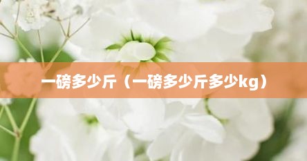 一磅多少斤（一磅多少斤多少kg）