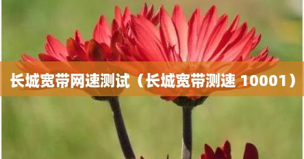 长城宽带网速测试（长城宽带测速 10001）