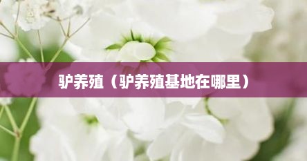 驴养殖（驴养殖基地在哪里）