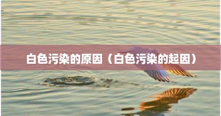 白色污染的原因（白色污染的起因）