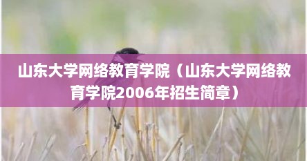 山东大学网络教育学院（山东大学网络教育学院2006年招生简章）