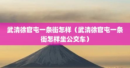 武清徐官屯一条街怎样（武清徐官屯一条街怎样坐公交车）