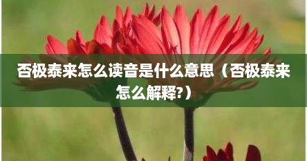 否极泰来怎么读音是什么意思（否极泰来怎么解释?）