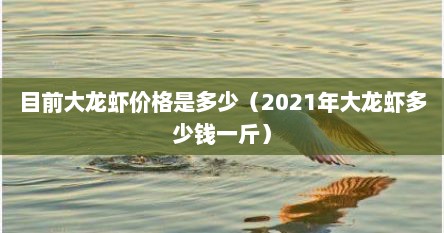 目前大龙虾价格是多少（2021年大龙虾多少钱一斤）